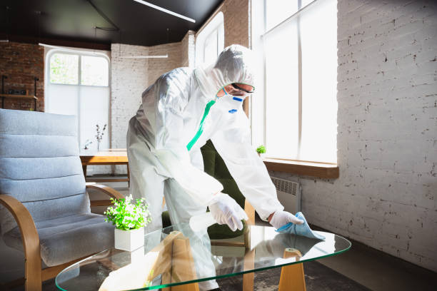 Mold Odor Removal Services in Waukee, IA